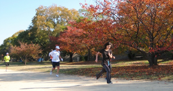 2010年11月月例マラソン