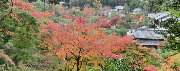 京都・南禅寺付近の紅葉