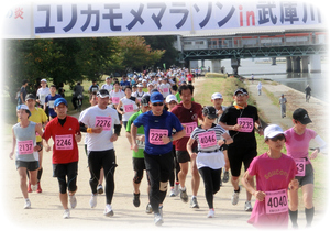2011ユリカモメマラソンin武庫川