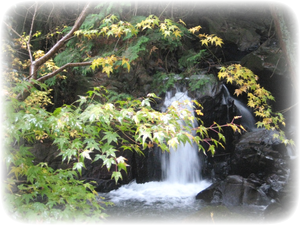 笠置山中の小さな滝