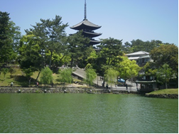 猿沢池から望む興福寺