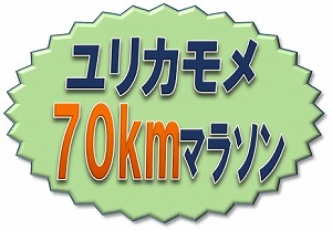 ユリカモメウルトラ70Kmマラソン
