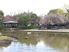 近松公園